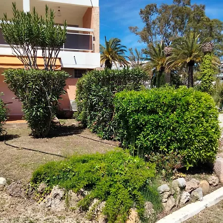 Bord De * Hyeres